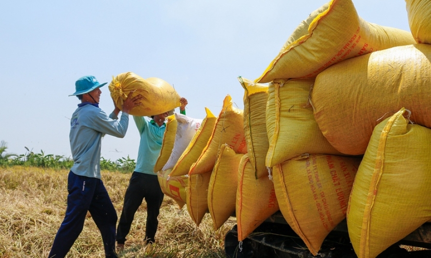 Bảo đảm sản xuất và cung ứng nông sản trong dịch Covid-19