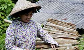 Nông dân Cao Minh phát huy thế mạnh từ cây quế