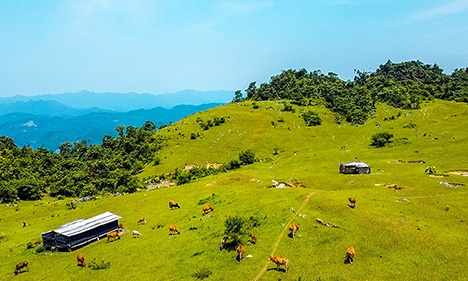 Ngỡ ngàng vẻ đẹp Nàng Tiên