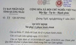 Quảng Ngãi: Phạt hơn 112 triệu đồng vì mua bán vận chuyển lâm sản