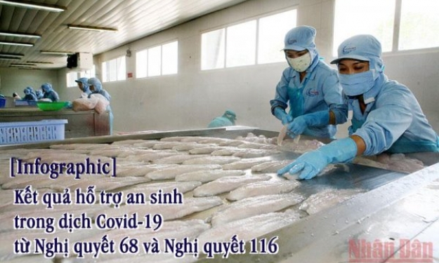 Kết quả hỗ trợ an sinh trong dịch Covid-19 từ Nghị quyết 68 và Nghị quyết 116