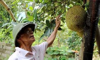 Hội Cựu Thanh niên xung phong huyện Chi Lăng: Nỗ lực vì nghĩa tình đồng đội