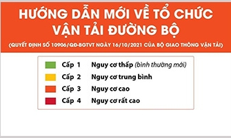 Hướng dẫn mới về tổ chức vận tải đường bộ