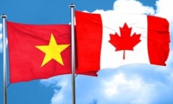 Hợp tác Việt Nam-Canada trong chuỗi cung ứng: Hiện tại và Tương lai