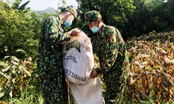 Những công trình thắm tình quân dân