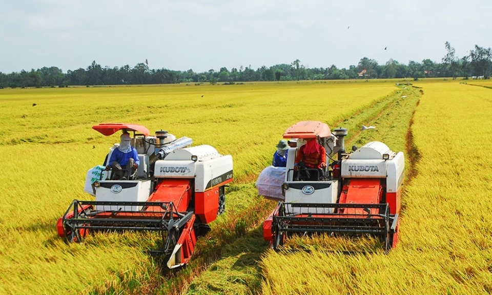 Kết nối cung - cầu vật tư đầu vào, thúc đẩy sản xuất lúa gạo