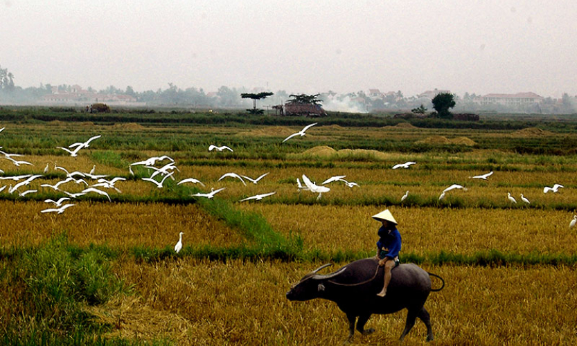 Vẻ đẹp ở ngay trong cuộc sống