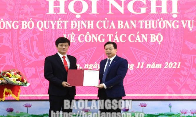 Điều động, bổ nhiệm Phó Trưởng Ban Tuyên giáo Tỉnh ủy