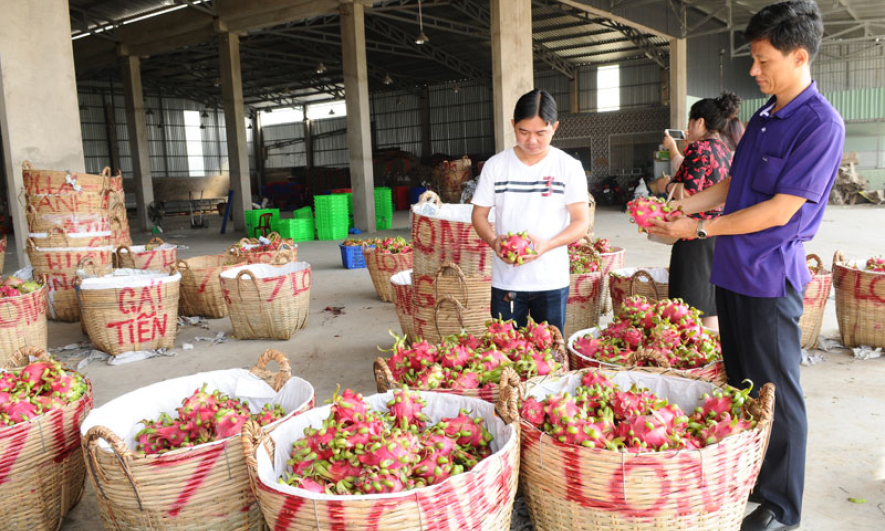 Xuất khẩu chính ngạch, hướng đi tất yếu cho nông sản sang Trung Quốc