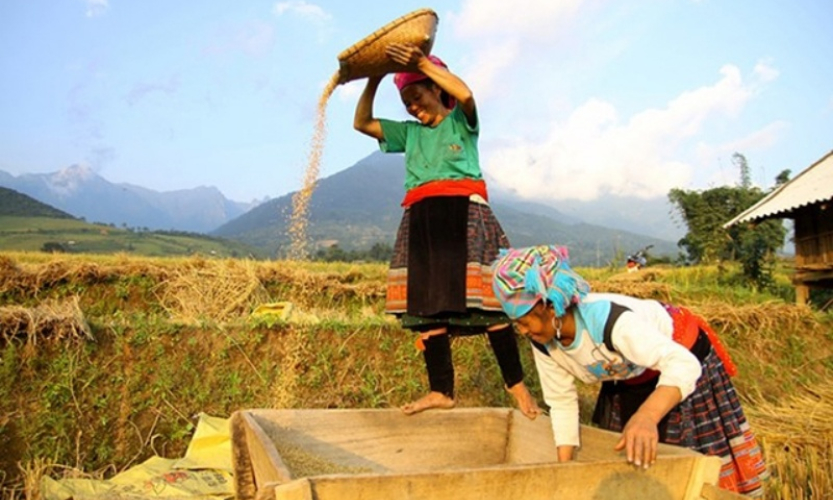 Trước 31/12/2025: Hoàn thành bố trí tuyển dụng đội viên Đề án 500 trí thức trẻ vào biên chế