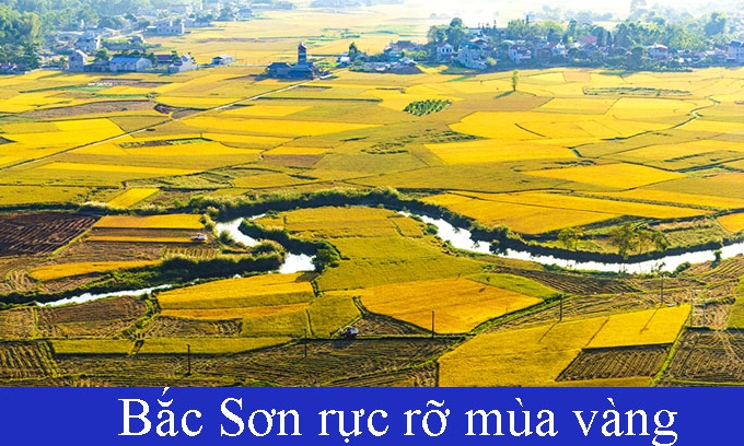 Bắc Sơn rực rỡ mùa vàng