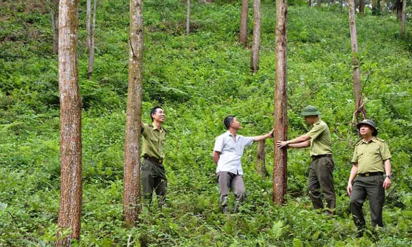 Yên Bái kỷ luật nhiều tổ chức đảng và đảng viên có sai phạm