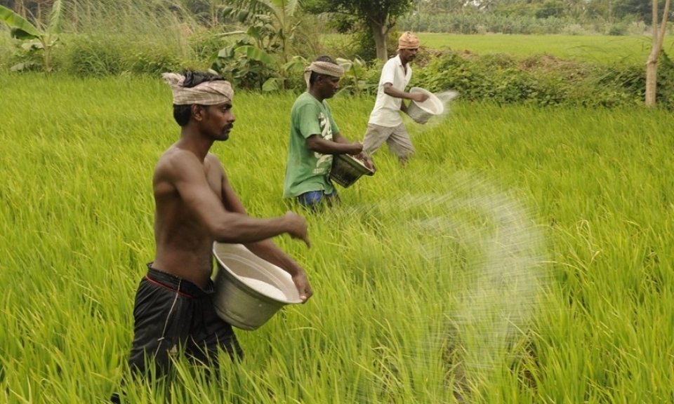 Thế khó của nông nghiệp toàn cầu