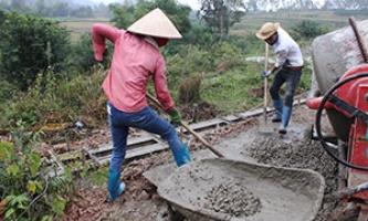 TNHH Một thành viên Khai thác công trình thuỷ lợi: Tập trung sửa chữa công trình thuỷ lợi phục vụ sản xuất