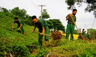 Sư đoàn 3 chung tay xây dựng nông thôn mới