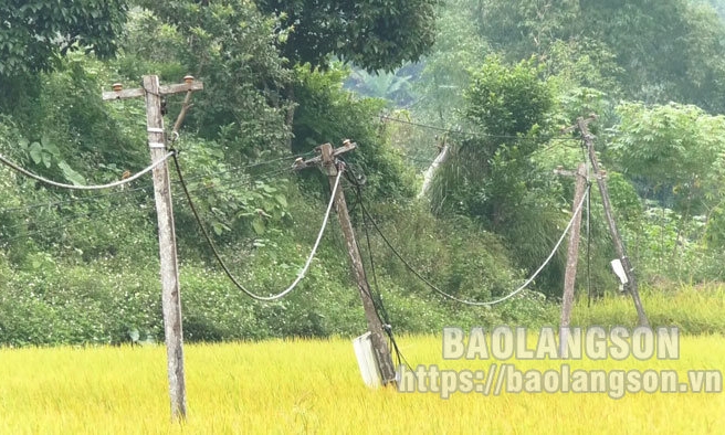 Tri Lễ: Nỗi lo mất an toàn lưới điện