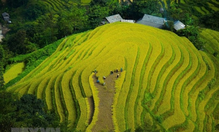 Du lịch trải nghiệm trực tuyến - hướng đi mới cho du lịch Hà Giang