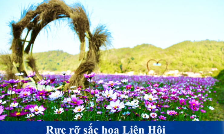 Rực rỡ sắc hoa Liên Hội