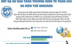 IMF hạ dự báo tăng trưởng kinh tế toàn cầu năm 2022