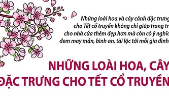 Những loài hoa, cây đặc trưng cho Tết cổ truyền