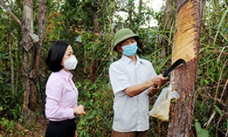 Chương trình cho vay hộ nghèo: Tiếp sức cho người dân Đình Lập