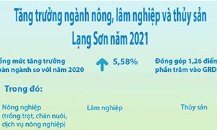 Tăng trưởng ngành nông, lâm nghiệp và thủy sản Lạng Sơn đạt 5,58%