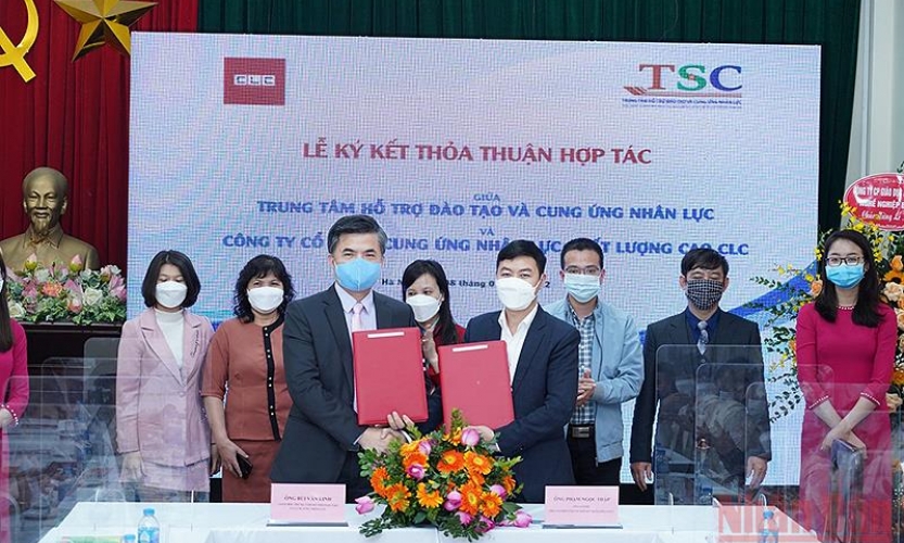 Hỗ trợ đào tạo và việc làm cho học sinh, sinh viên gắn với chuyển đổi số