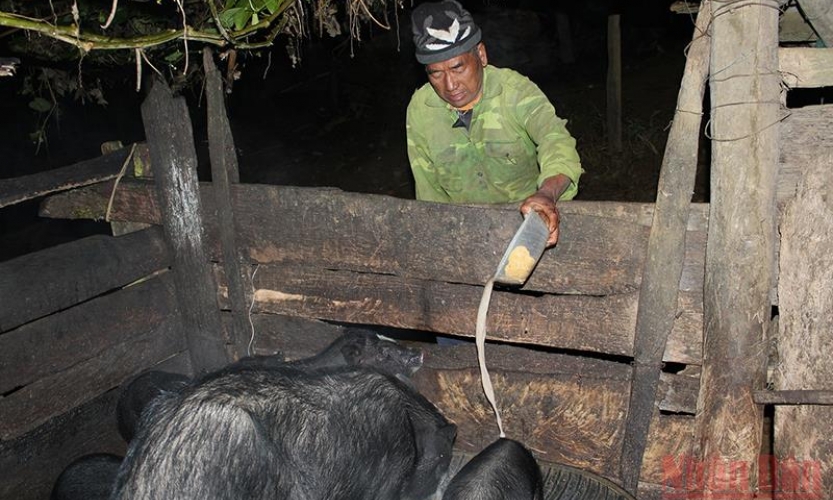 Độc đáo phong tục đón Tết của đồng bào dân tộc H’Mông