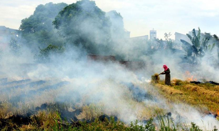 Thực hiện kiểm kê khí nhà kính