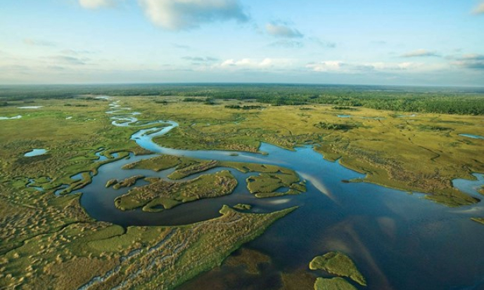 Mỹ đầu tư hơn 1 tỷ USD để khôi phục Công viên quốc gia Everglades