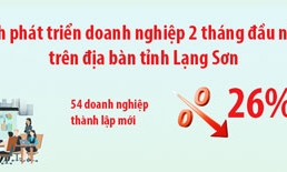 Tình hình phát triển doanh nghiệp 2 tháng đầu năm 2022 trên địa bàn tỉnh Lạng Sơn