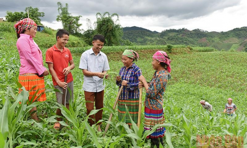 Cả nước có hơn 609 nghìn hộ nghèo