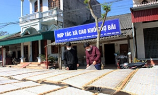 Phát triển hợp tác xã: Bước chuyển 10 năm