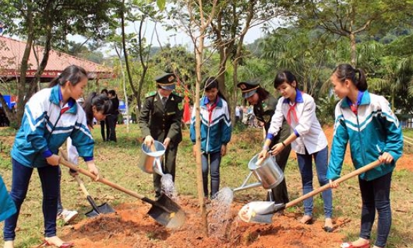 Tích cực trồng cây xanh trong ngành Giáo dục