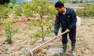 Các cấp hội nông dân huyện Hữu Lũng: Lan tỏa phong trào sản xuất, kinh doanh giỏi