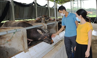 Chi hội Nông dân thôn Hét: Lan toả phong trào thi đua, sản xuất kinh doanh giỏi