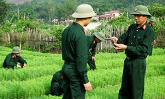 Đổi thay trên Khu du kích Ba Sơn