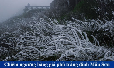 Chiêm ngưỡng băng giá phủ trắng đỉnh Mẫu Sơn