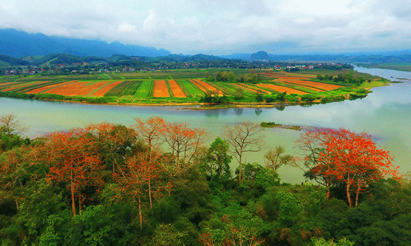 Ngăn chặn suy giảm đa dạng sinh học