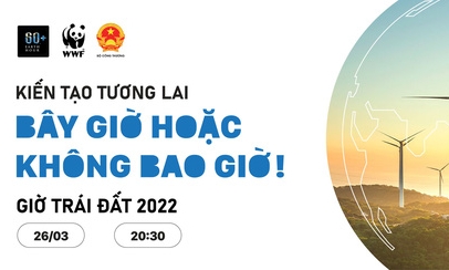 63 tỉnh, thành hưởng ứng chiến dịch Giờ trái đất 2022