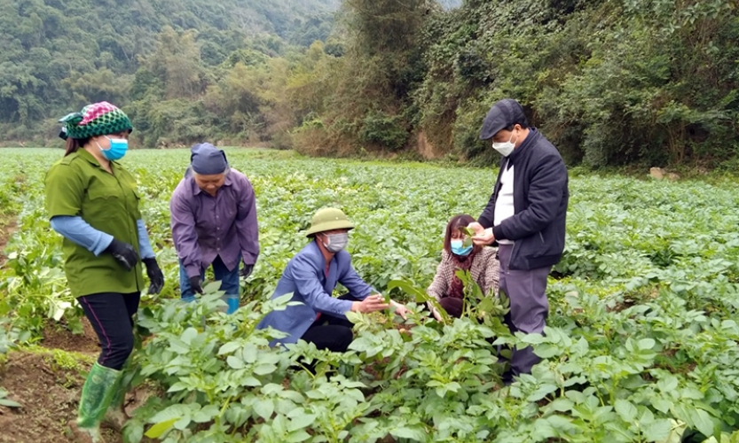 Phát triển bền vững vùng Việt Bắc