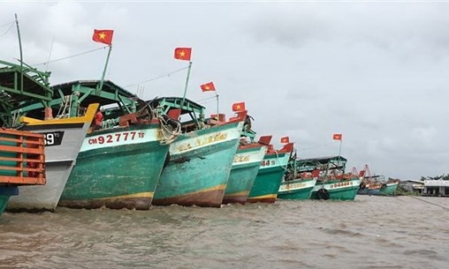 Khắc phục 'thẻ vàng' IUU, Cà Mau quản lý chặt tàu cá ra, vào cửa biển