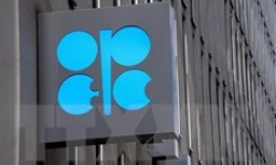 Nga khẳng định vai trò của cơ chế OPEC+ đối với thị trường dầu mỏ