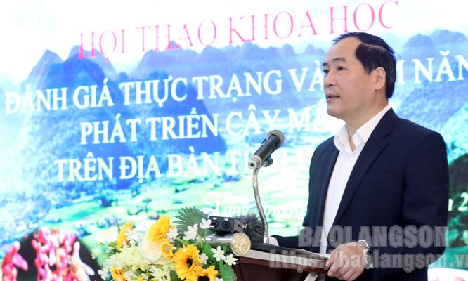 Đánh giá thực trạng và tiềm năng phát triển cây mắc ca trên địa bàn tỉnh