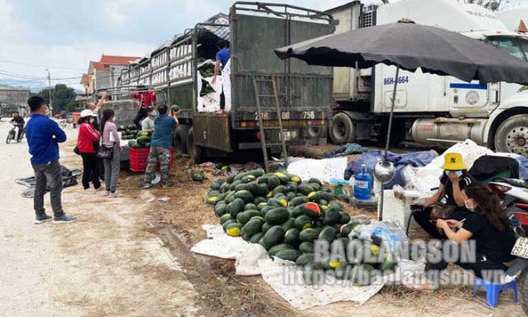 Gây mất an toàn giao thông, ô nhiễm môi trường từ các điểm bán hàng nông sản tự phát