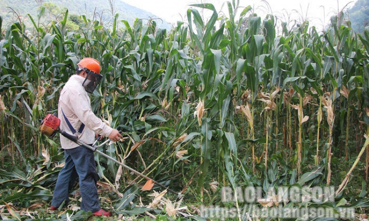 Góp phần thúc đẩy sản xuất nông nghiệp