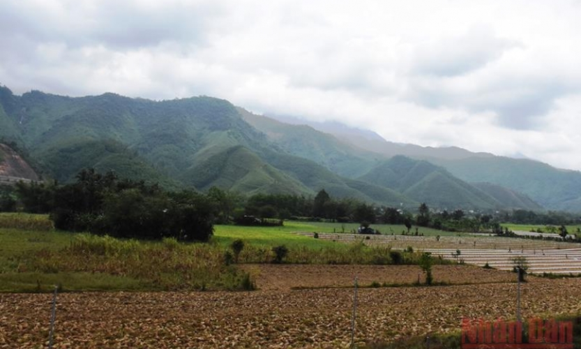 Thận trọng với “chiêu trò” chuyển đổi đất nông nghiệp thuần túy sang đất ở