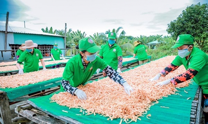 Tín dụng chính sách: Công cụ hỗ trợ trực diện cho phụ nữ làm giàu