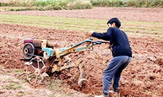 Đảm bảo nước tưới cho sản xuất vụ xuân