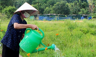 Xây dựng các tuyến đường hoa: Phát huy vai trò của phụ nữ